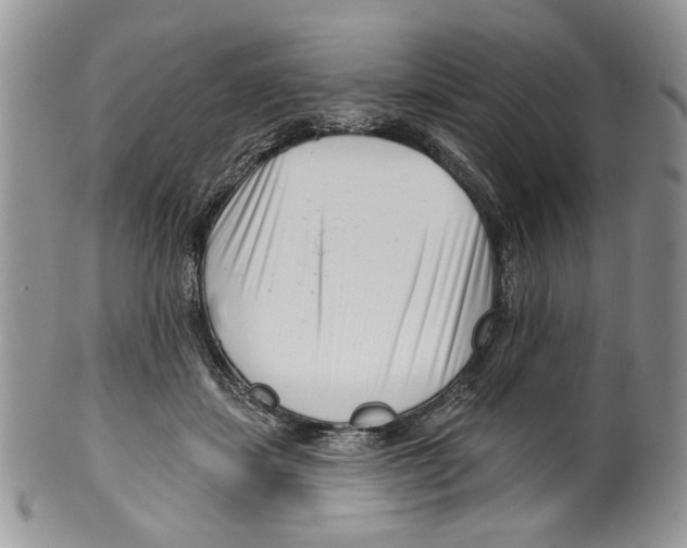 X0000099540459200806131153