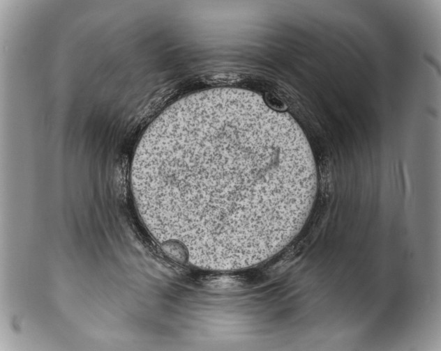 X0000099540460200806131153