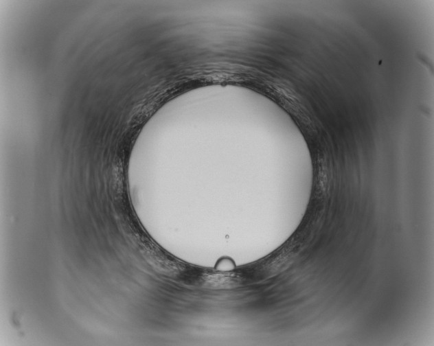 X0000099540461200806131153