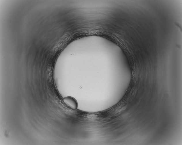 X0000099540462200806131153