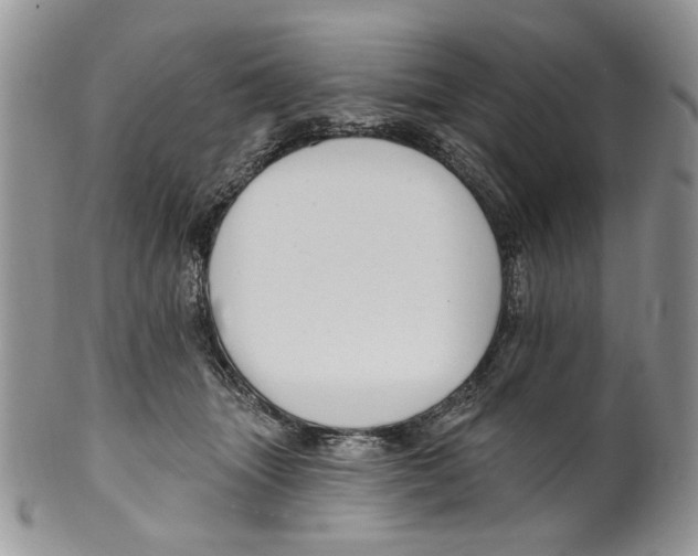 X0000099540463200806131153