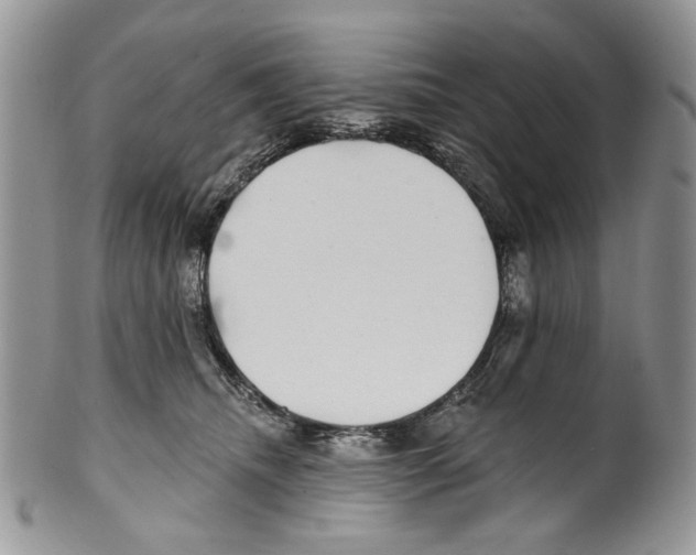 X0000099540468200806131153