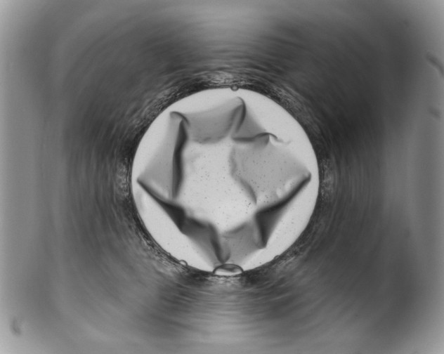 X0000099540469200806131153