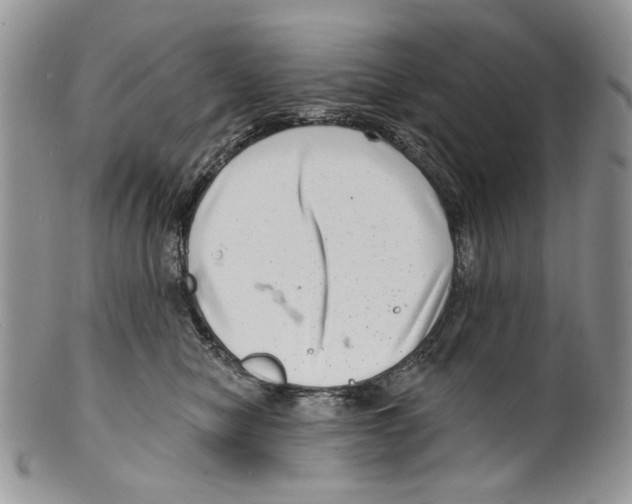 X0000099540470200806131153