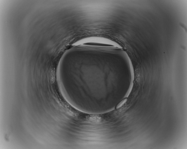 X0000099540471200806131153