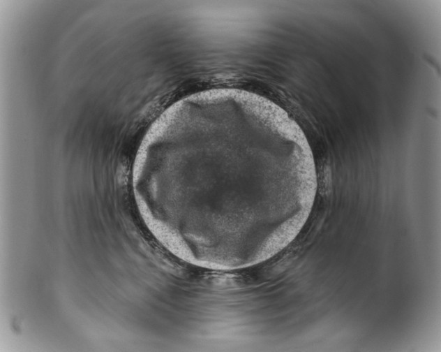 X0000099540472200806131153