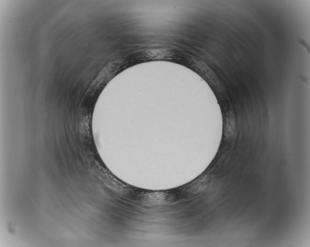 X0000099540473200806131153