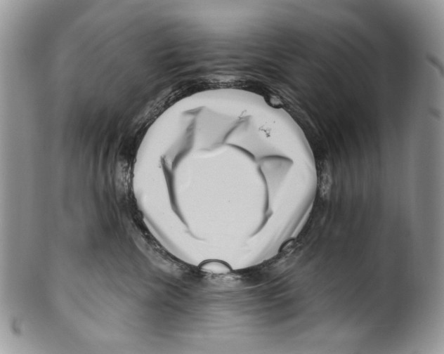 X0000099540476200806131153