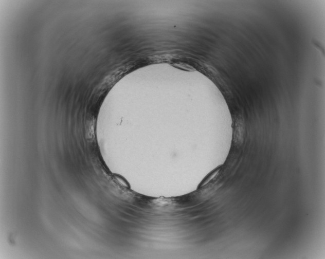 X0000099540477200806131153