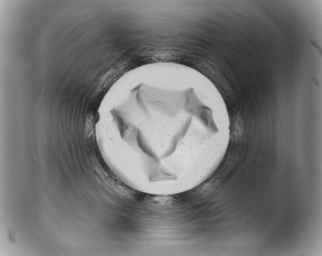 X0000099540478200806131153