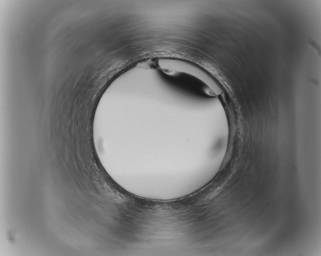 X0000099540481200806131153