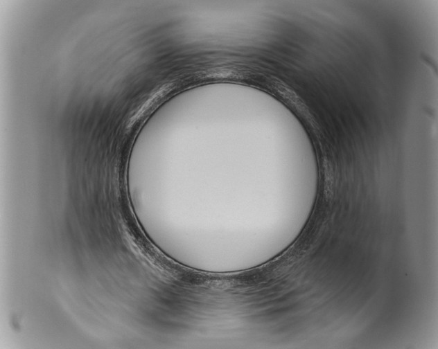 X0000099540482200806131152