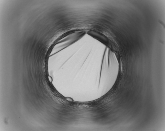 X0000099540483200806131152