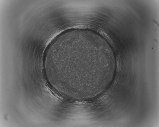 X0000099540484200806131152