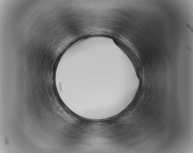 X0000099540485200806131152