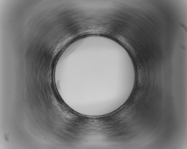 X0000099540486200806131152