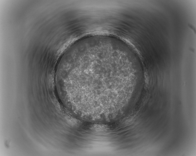 X0000099540487200806131152