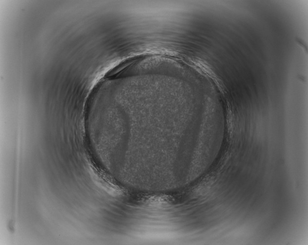 X0000099540488200806131152