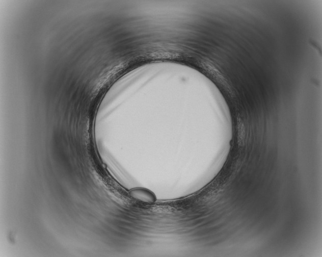 X0000099540490200806131152