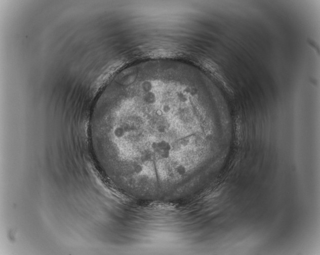 X0000099540491200806131152