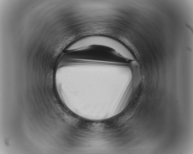 X0000099540493200806131152