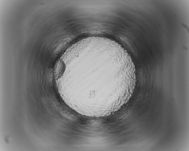 X0000099540495200806131152