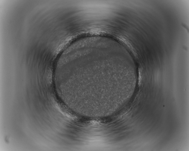 X0000099540496200806131152