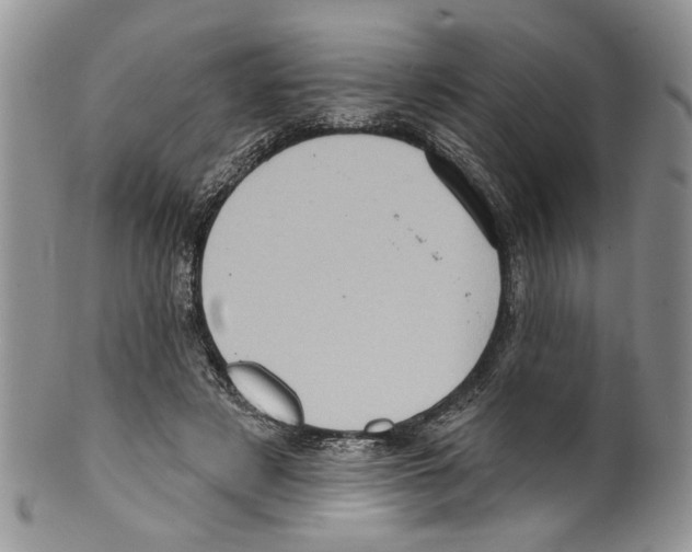 X0000099540497200806131152