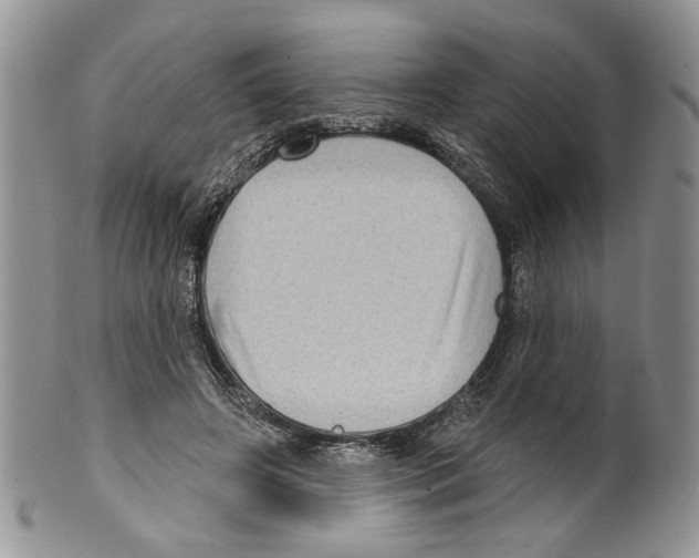 X0000099540498200806131152