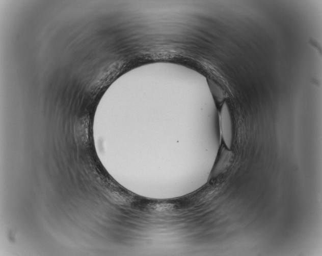 X0000099540501200806131152