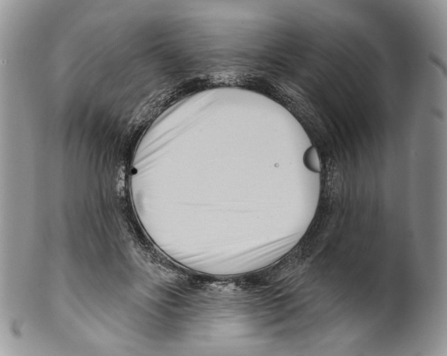 X0000099540502200806131152