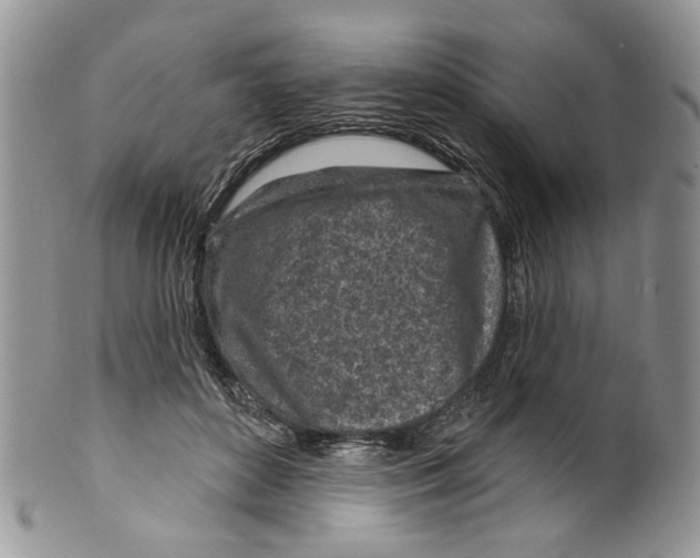 X0000099540504200806131152