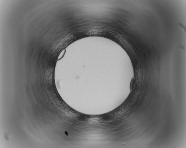 X0000099540505200806131152