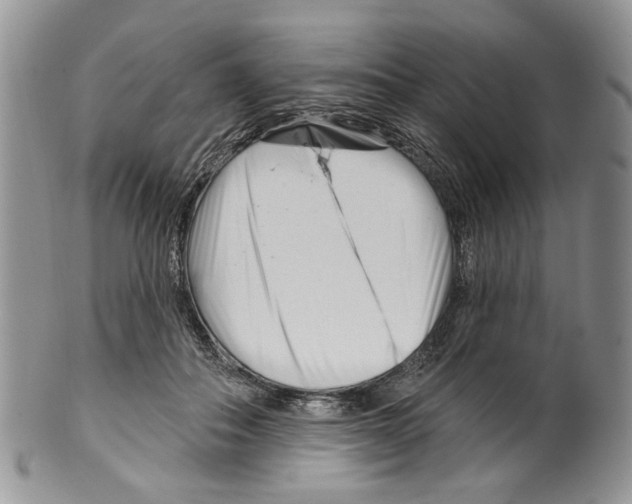 X0000099540506200806131152