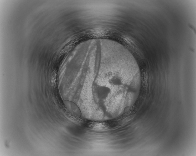 X0000099540507200806131152