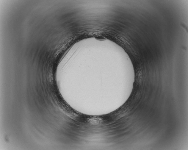 X0000099540508200806131152