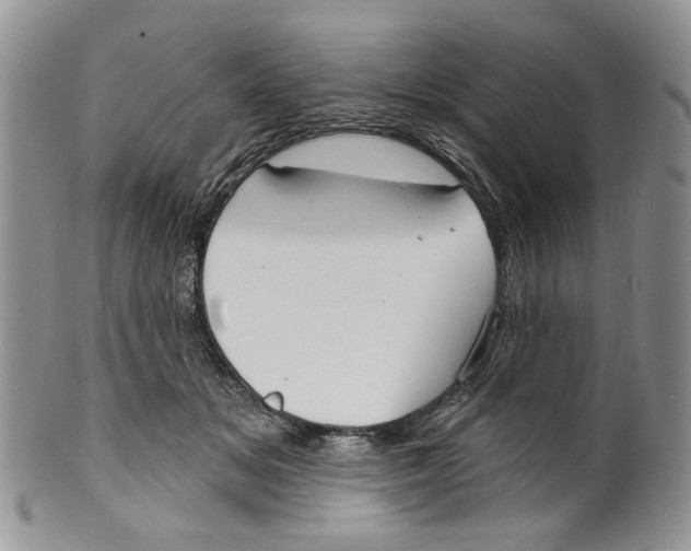 X0000099540509200806131152