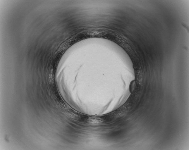 X0000099540510200806131152