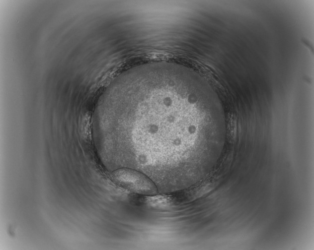 X0000099540511200806131152