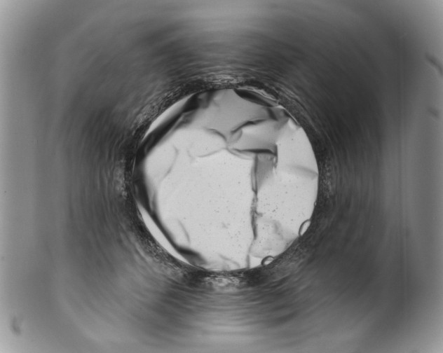 X0000099540512200806131152