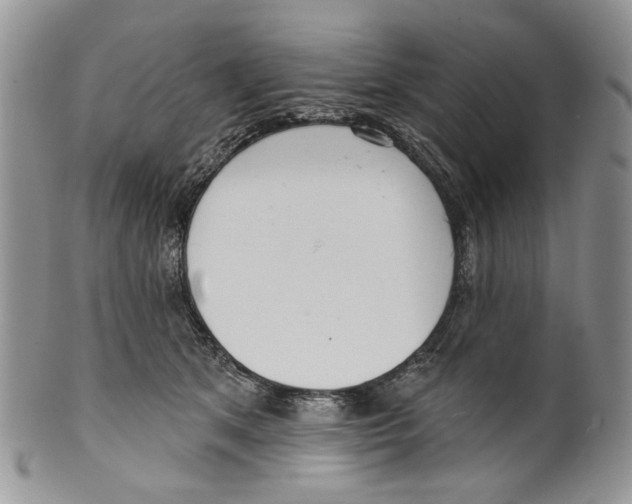 X0000099540513200806131152