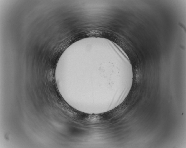 X0000099540514200806131152