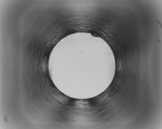 X0000099540515200806131152