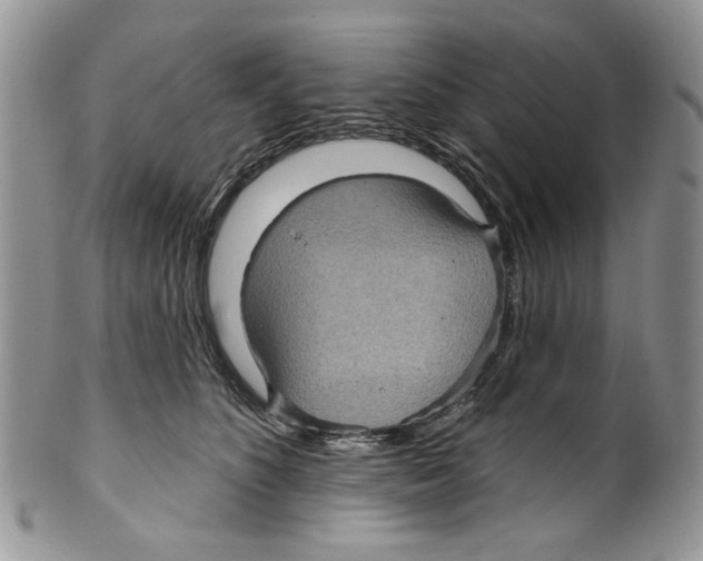 X0000099540516200806131152