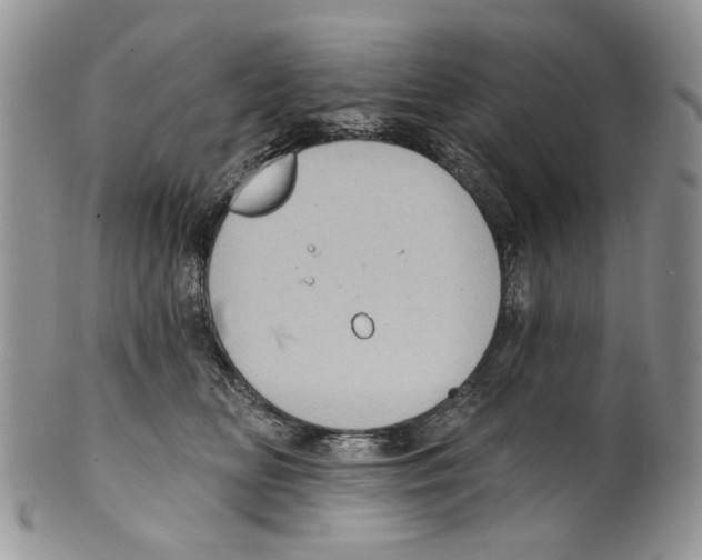 X0000099540518200806131152