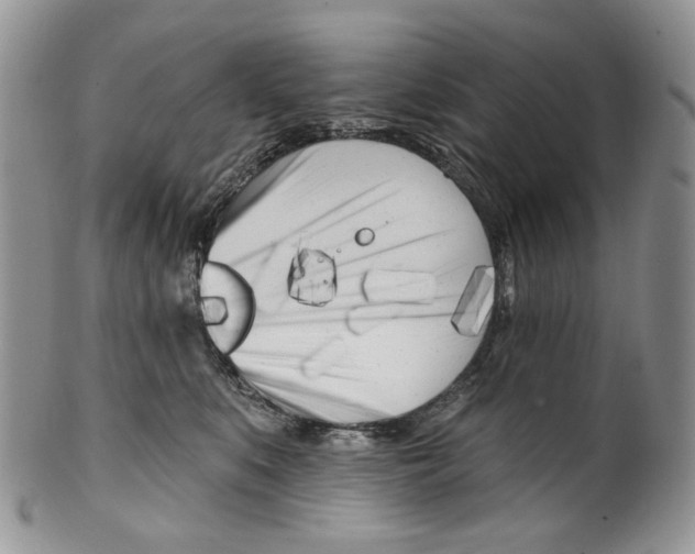 X0000099540519200806131152