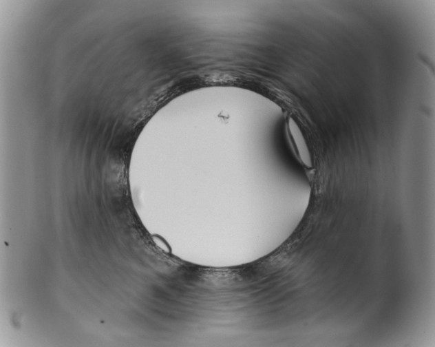 X0000099540521200806131152