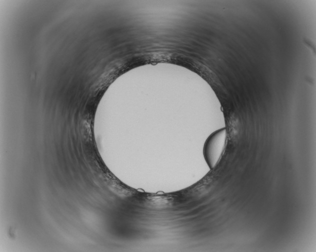 X0000099540522200806131152