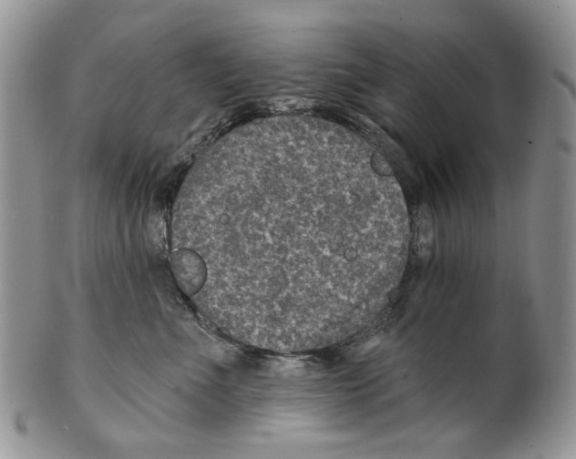 X0000099540523200806131152