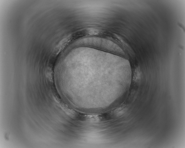 X0000099540524200806131152